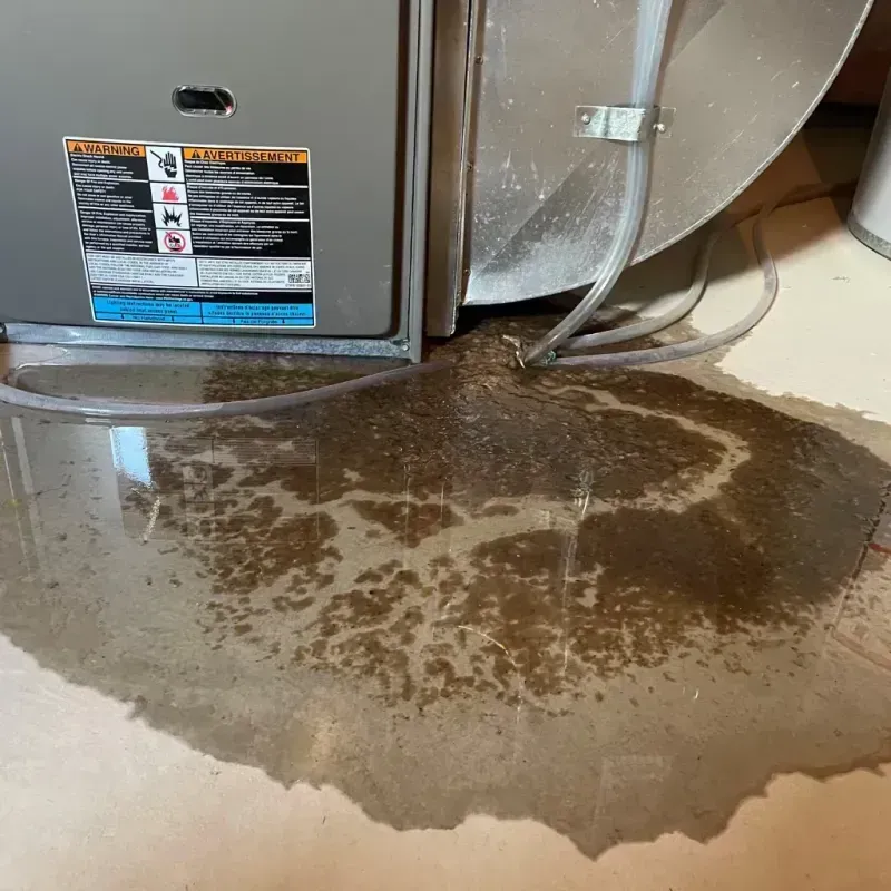 Appliance Leak Cleanup in Ames, IA